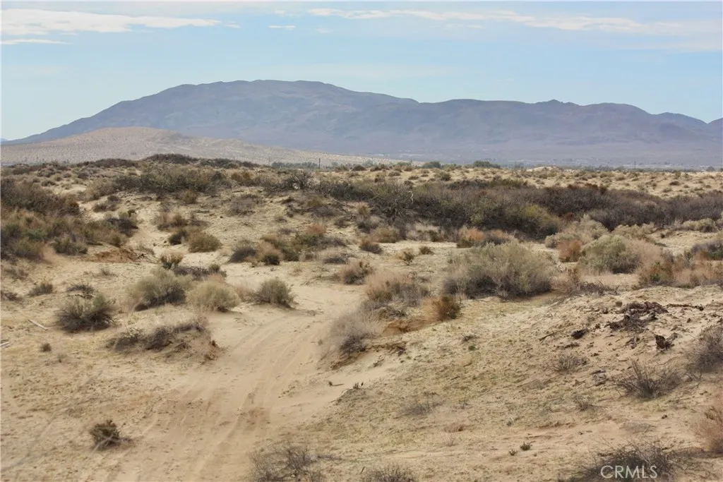 Property image for 204 Adobe Road, 29 Palms, CA 92277