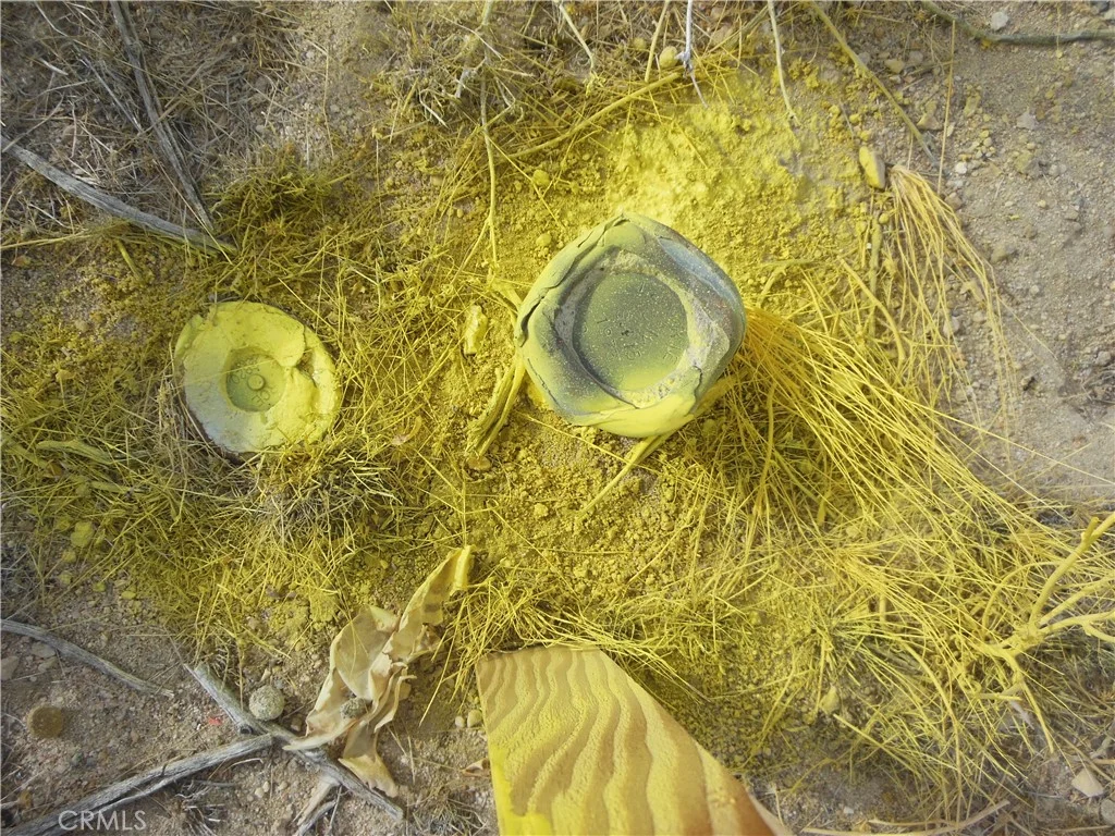 Joshua, Lucerne Valley, CA 92356
