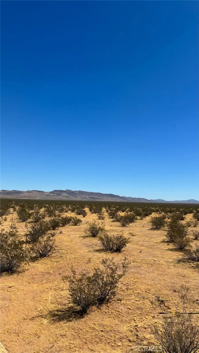 Chuck Wagon, Barstow, CA 92311