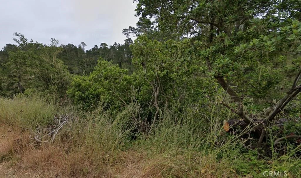 2812 Ramsey Road, Cambria, CA 93428