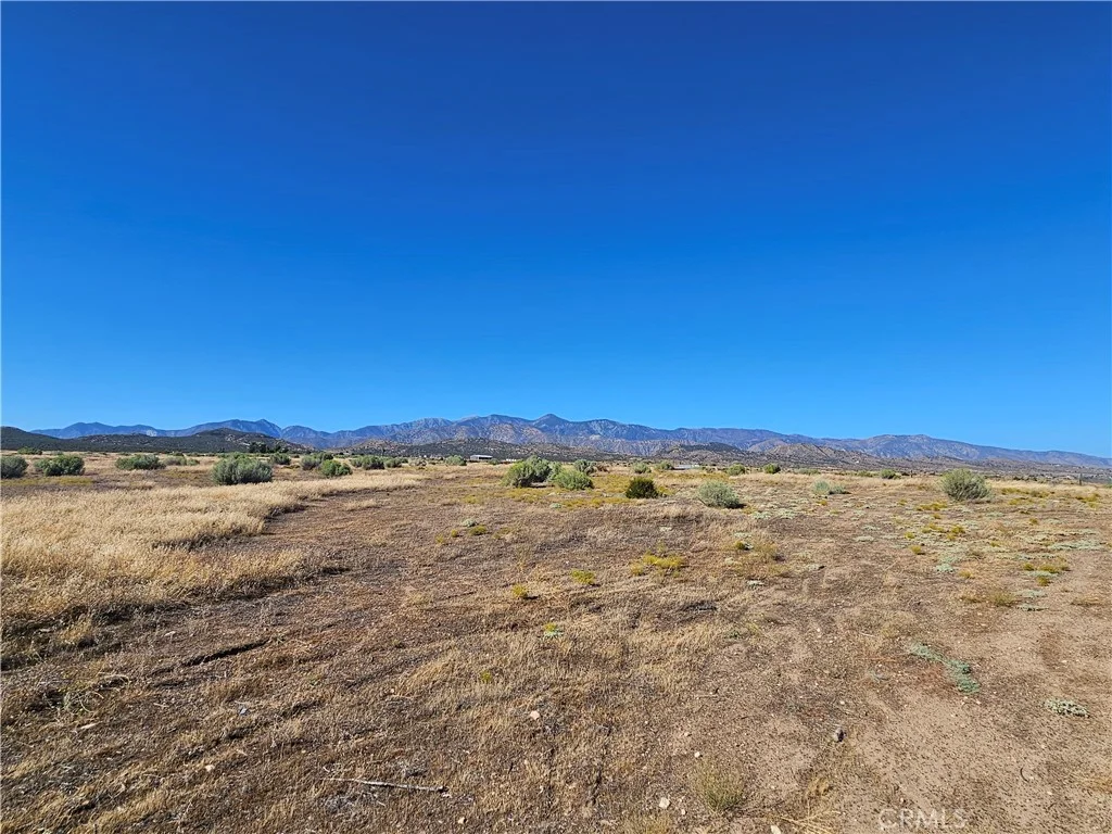 Mesquite, Phelan, CA 92371 photo 5