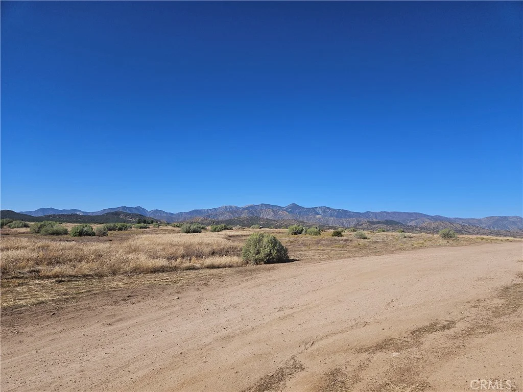 Mesquite, Phelan, CA 92371 photo 3