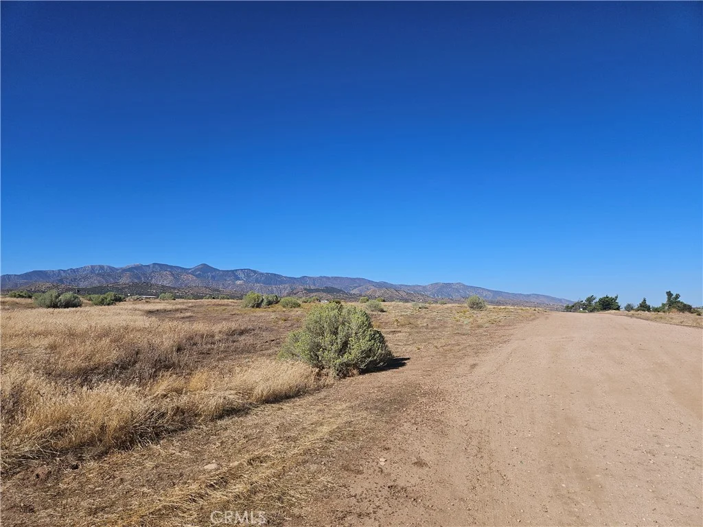 Mesquite, Phelan, CA 92371 photo 4