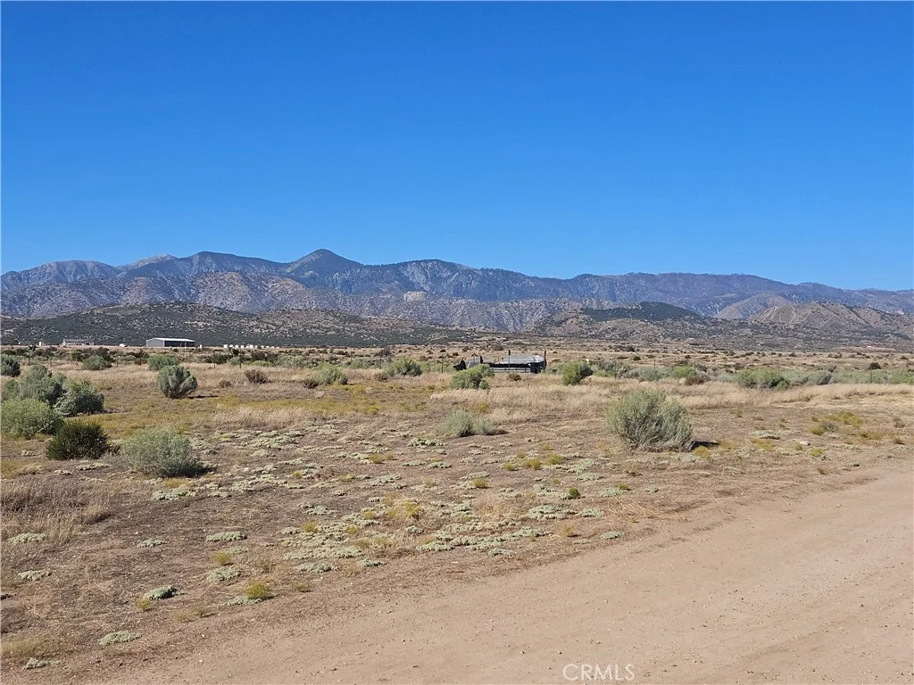 Mesquite, Phelan, CA 92371