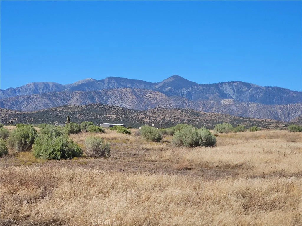Mesquite, Phelan, CA 92371 photo 2
