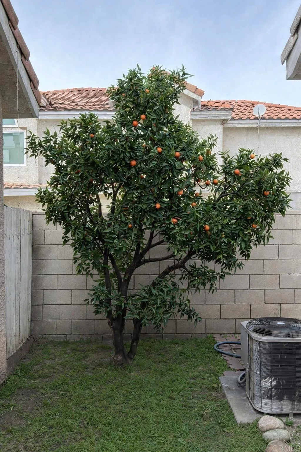 Additional image 70 of 14333 Beckner Street, La Puente, CA 91744