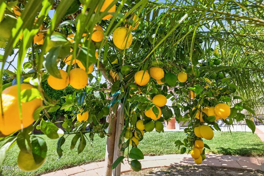 Additional image 85 of 5840 Hunter Street, Ventura, CA 93003