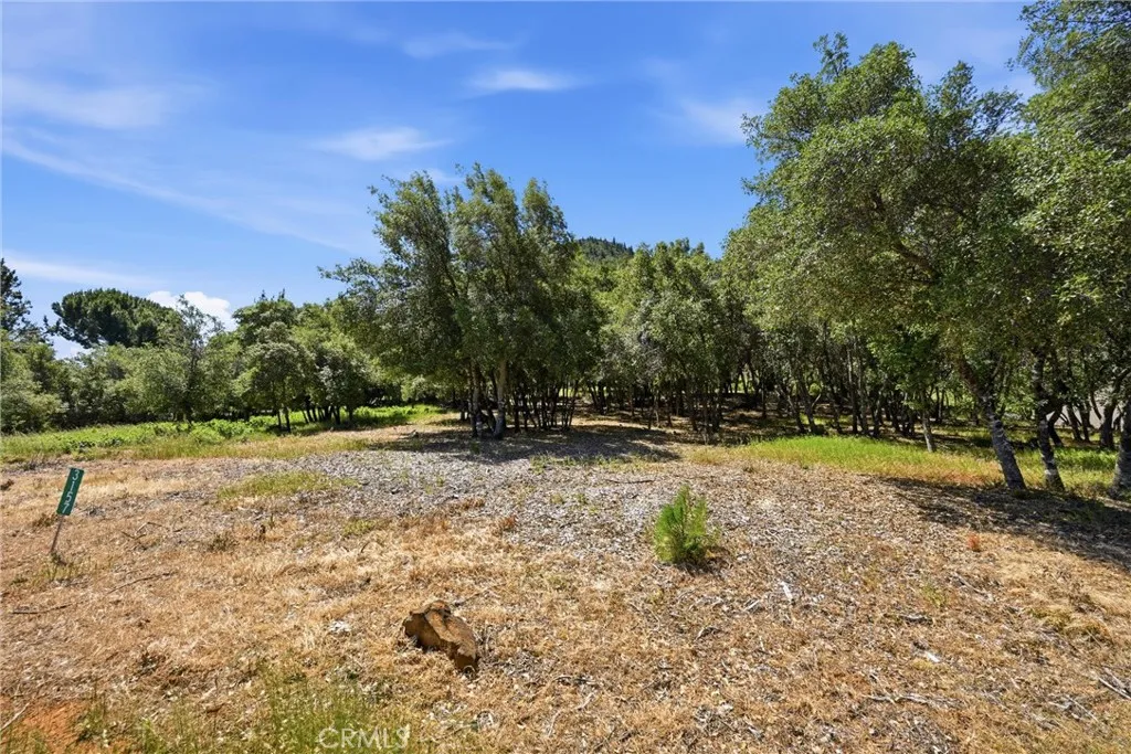 Additional image 24 of 3157 Riviera Heights Dr, Kelseyville, CA 95451