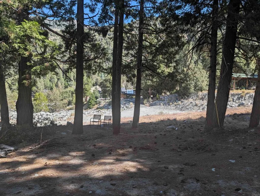 island dr, Forest Falls, CA 92339