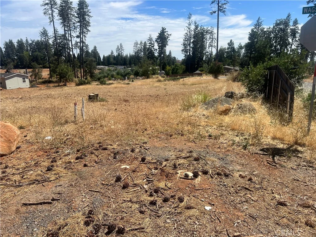 1320 Wagstaff Rd, Paradise, CA 95969