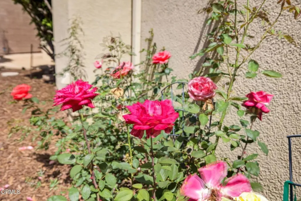 Additional image 101 of 1705 Via Pajaro, Camarillo, CA 93012