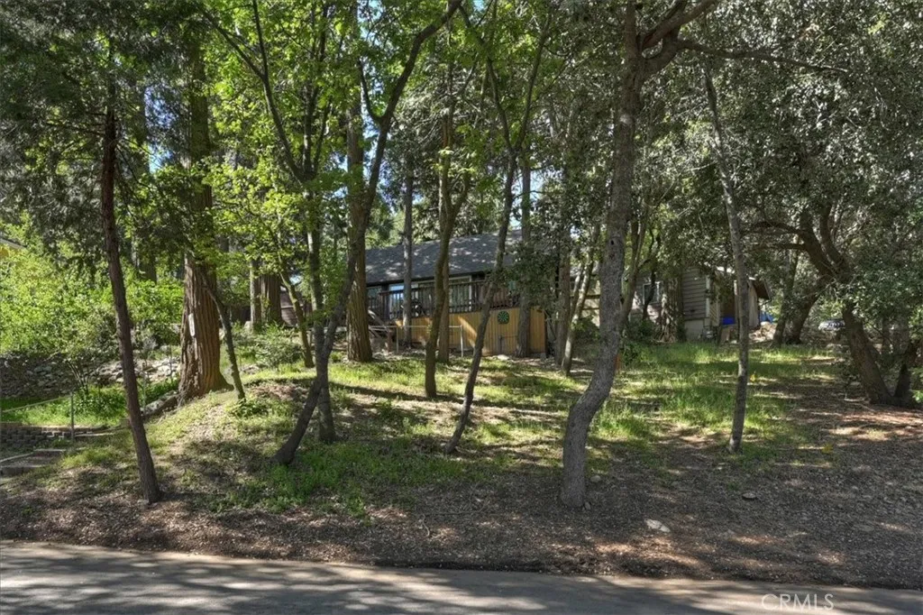 Additional image 68 of 669 Knoll Dr, Crestline, CA 92325