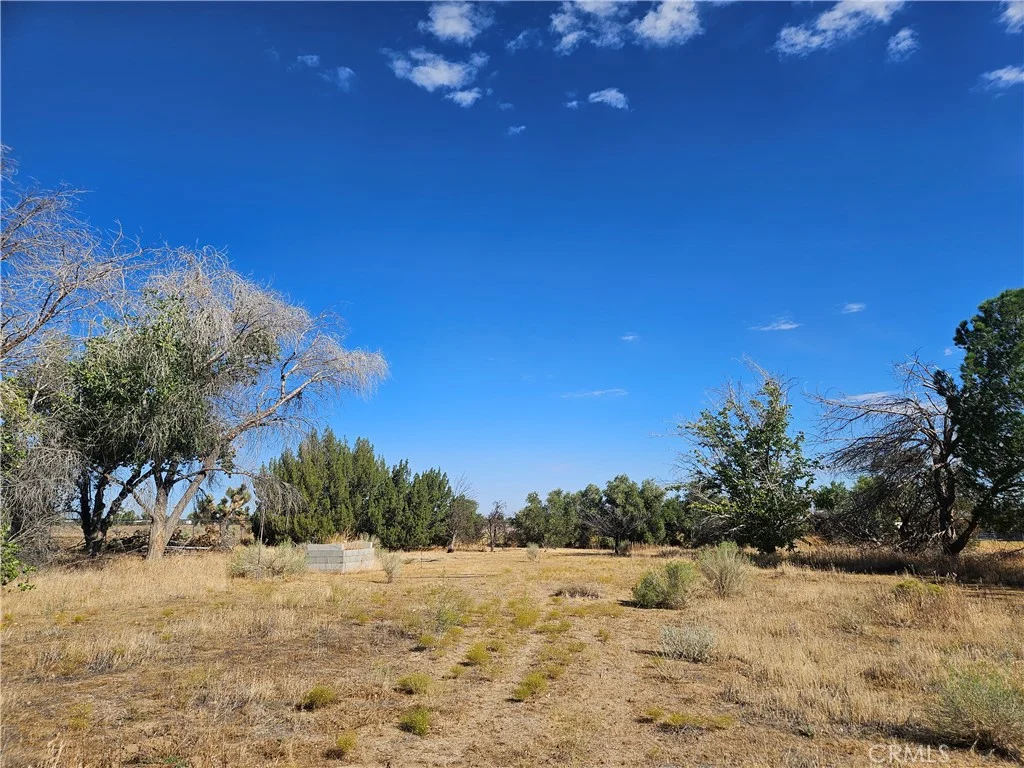 Juniper, Phelan, CA 92371 photo 5