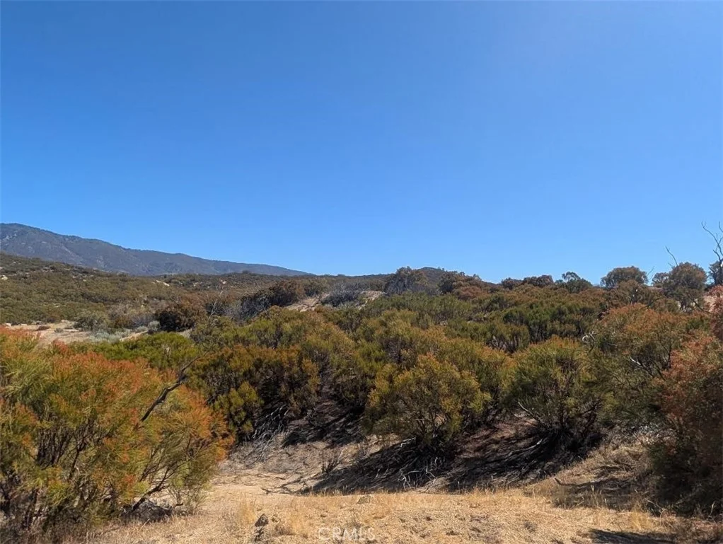 Old Ranch Road, Anza, CA 92539