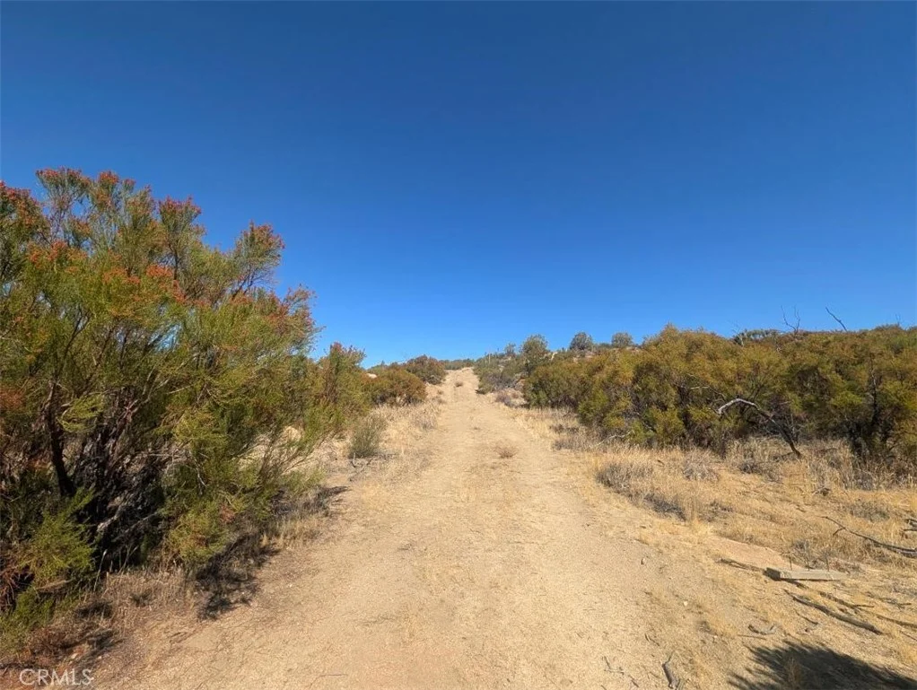 Old Ranch Road, Anza, CA 92539 photo 2
