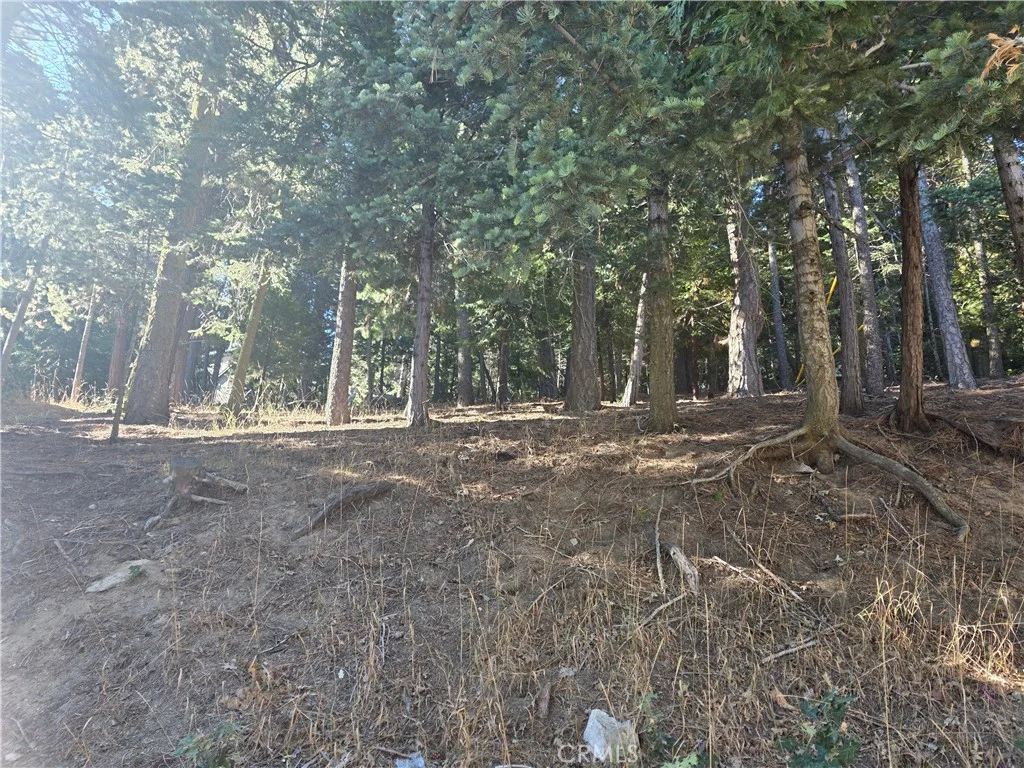 Altdorf, Crestline, CA 92325 photo 3