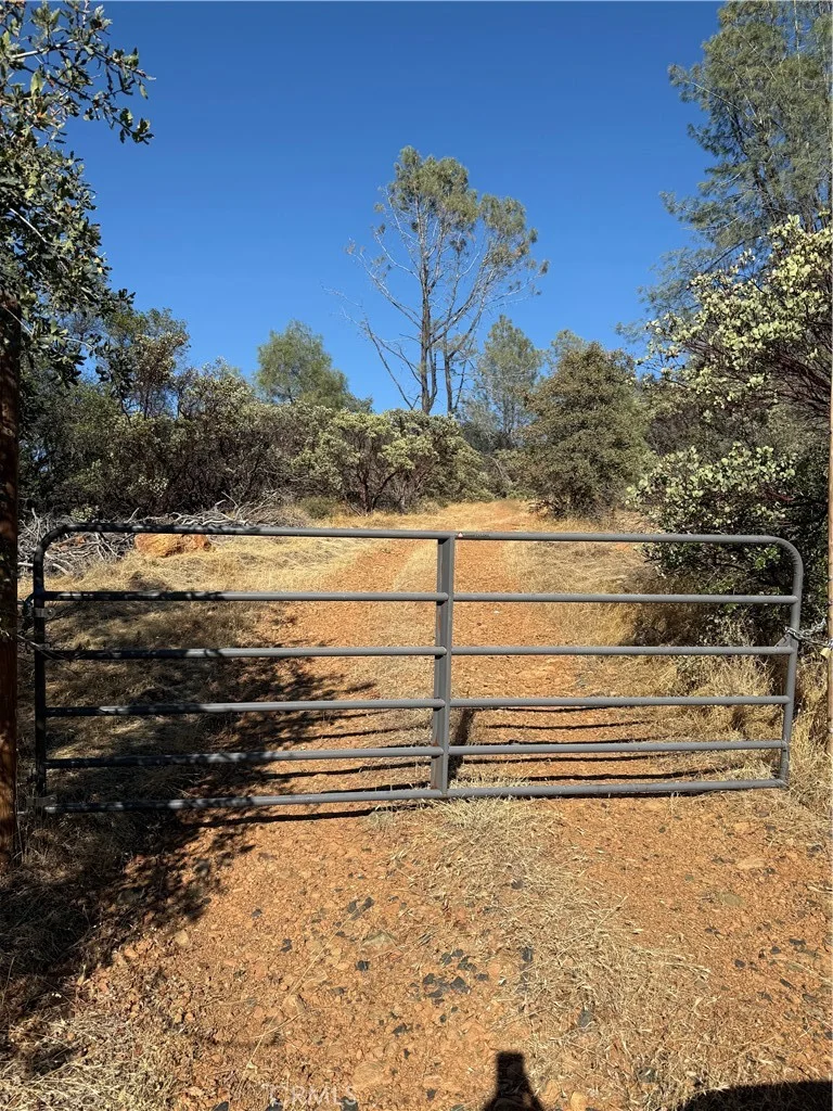 Oregon Gulch, Oroville, CA 95965 photo 2