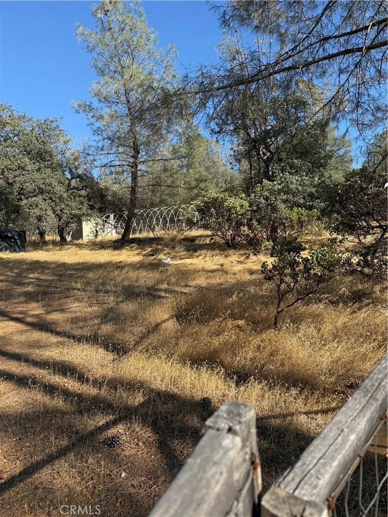 Oregon Gulch, Oroville, CA 95965 photo 5