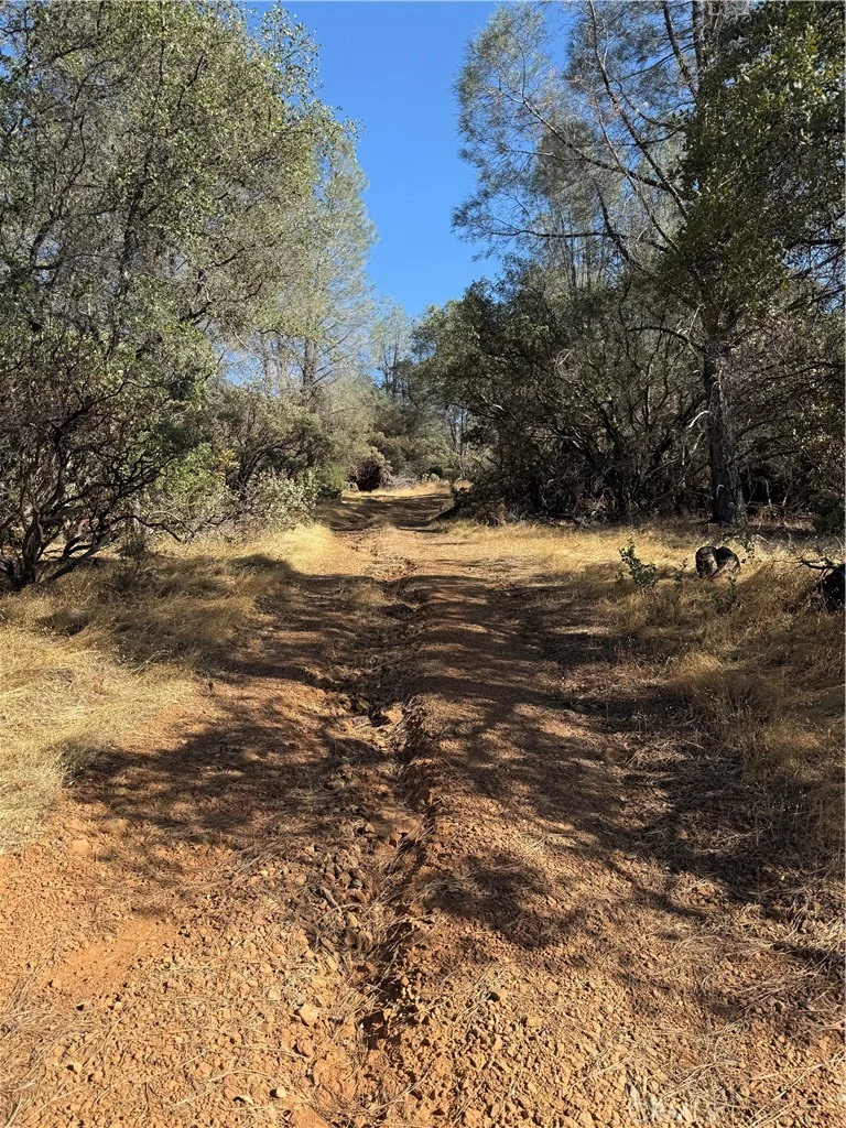 Oregon Gulch, Oroville, CA 95965 photo 4