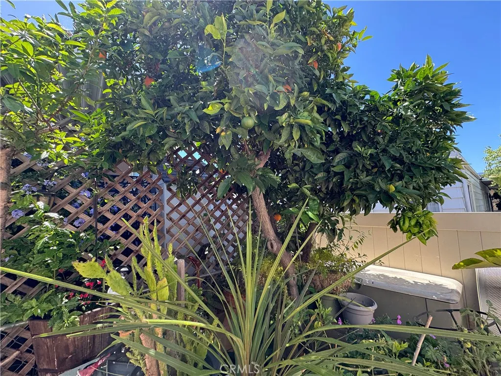 Additional image 39 of 10771 Black Mountain Road Unit 124, San Diego, CA 92126