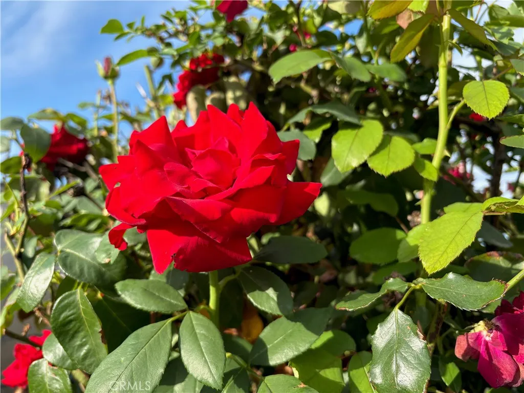 Additional image 25 of 7738 Kraft Avenue, North Hollywood, CA 91605