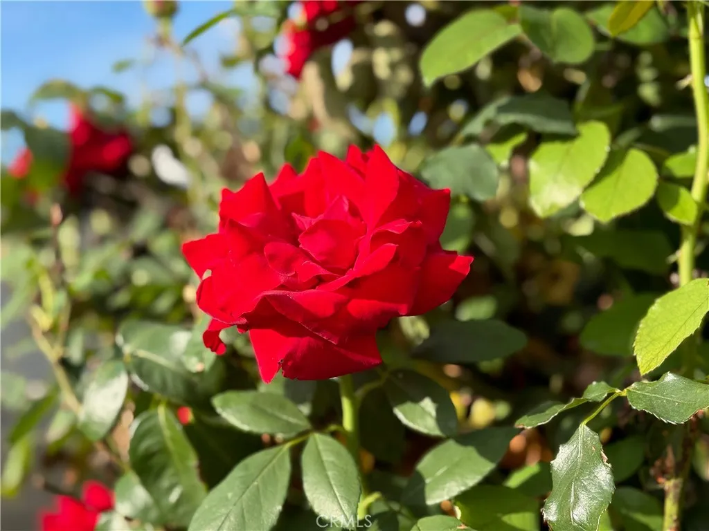 Additional image 24 of 7738 Kraft Avenue, North Hollywood, CA 91605