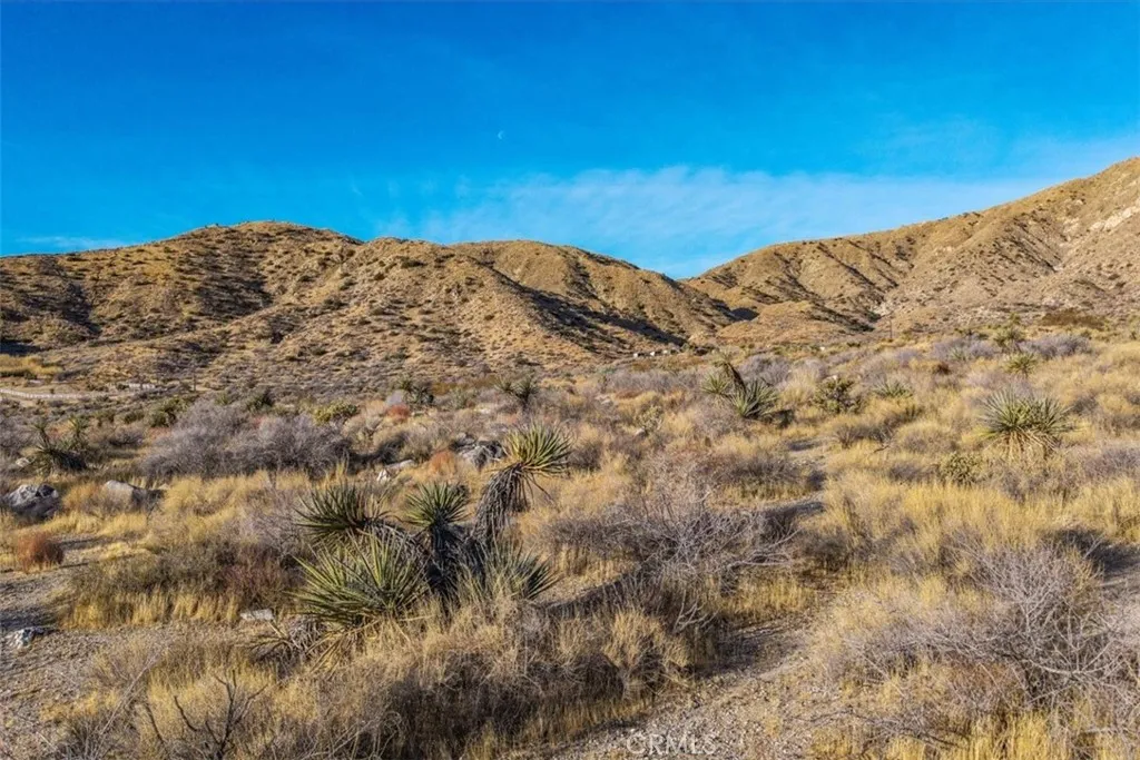 Additional image 48 of Palo Verde Road, Morongo Valley, CA 92256