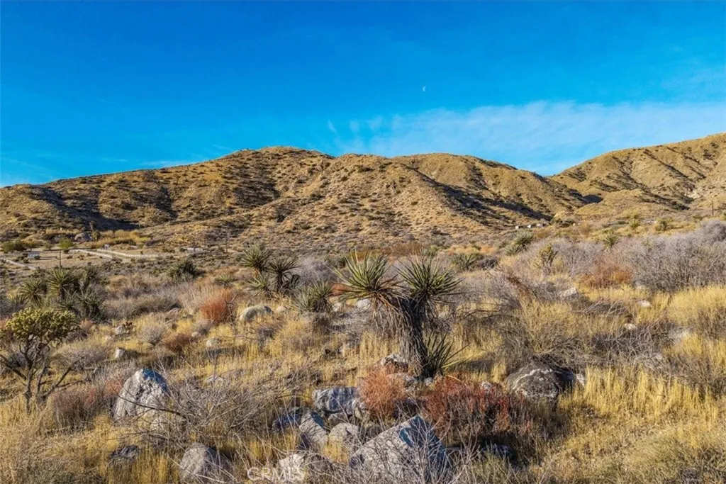 Additional image 49 of Palo Verde Road, Morongo Valley, CA 92256