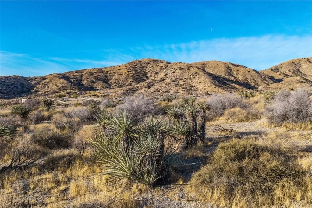 Additional image 46 of Palo Verde Road, Morongo Valley, CA 92256