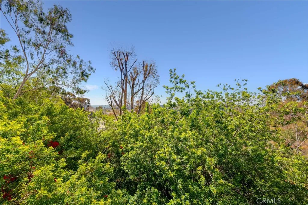 Additional image 65 of 4209 Via Arbolada Unit 234, Los Angeles, CA 90042