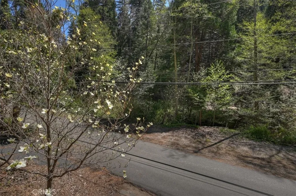 Additional image 98 of 425 Blue Jay Canyon Rd, Lake Arrowhead, CA 92317