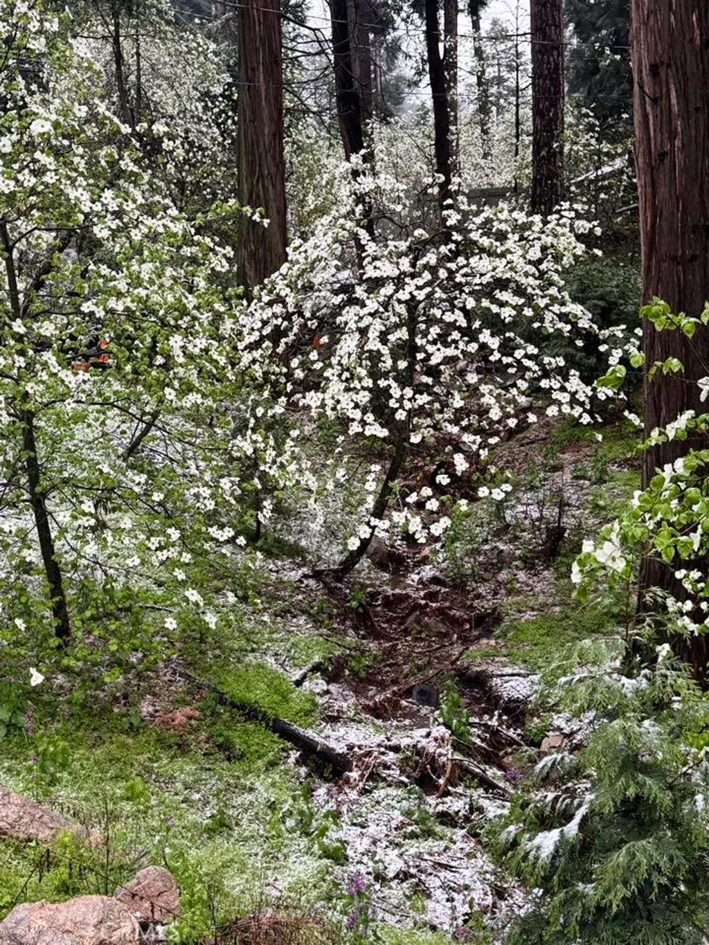 Additional image 5 of 425 Blue Jay Canyon Rd, Lake Arrowhead, CA 92317