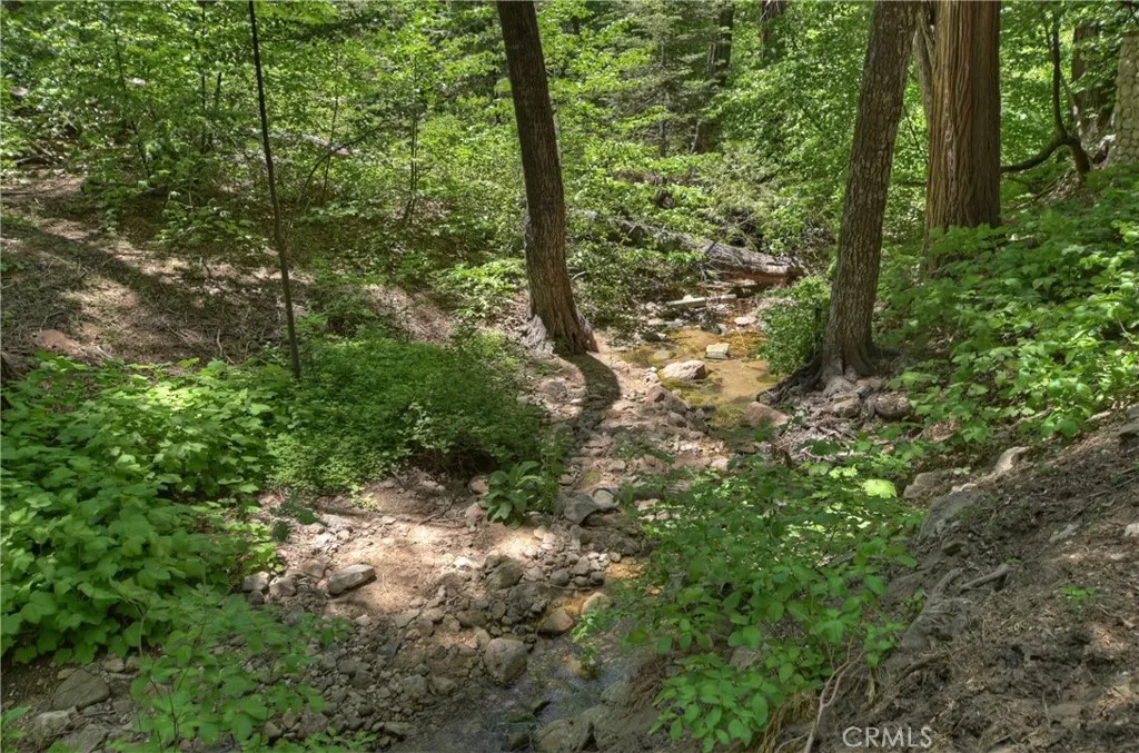 Additional image 99 of 425 Blue Jay Canyon Rd, Lake Arrowhead, CA 92317