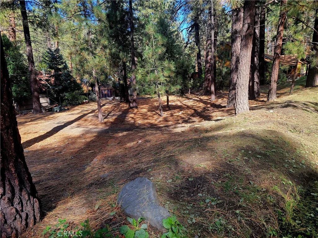 Laura, Wrightwood, CA 92397 photo 3