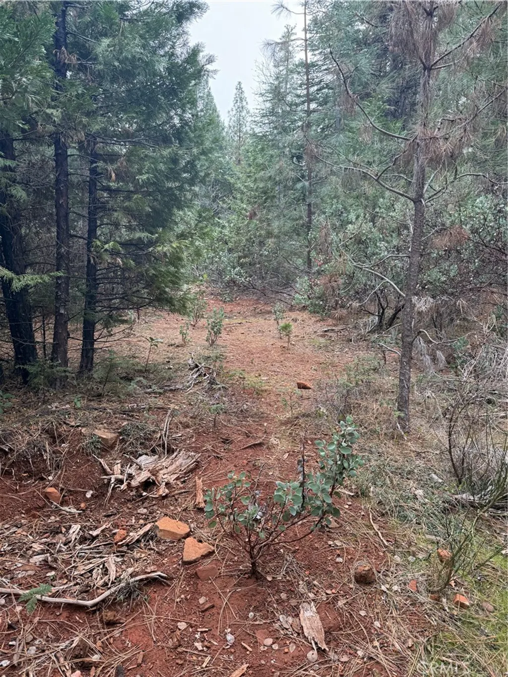 Property image for 1 Old Forbestown Road, Forbestown, CA 95941