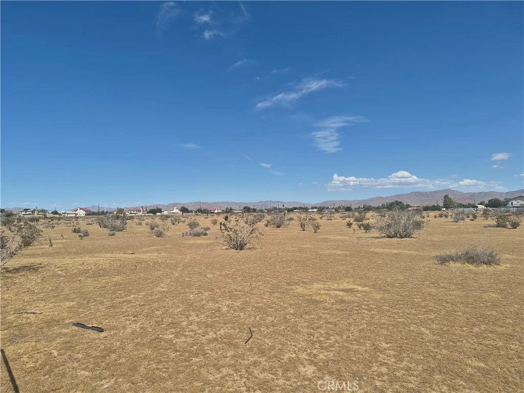 Merino, Apple Valley, CA 92308 photo 4