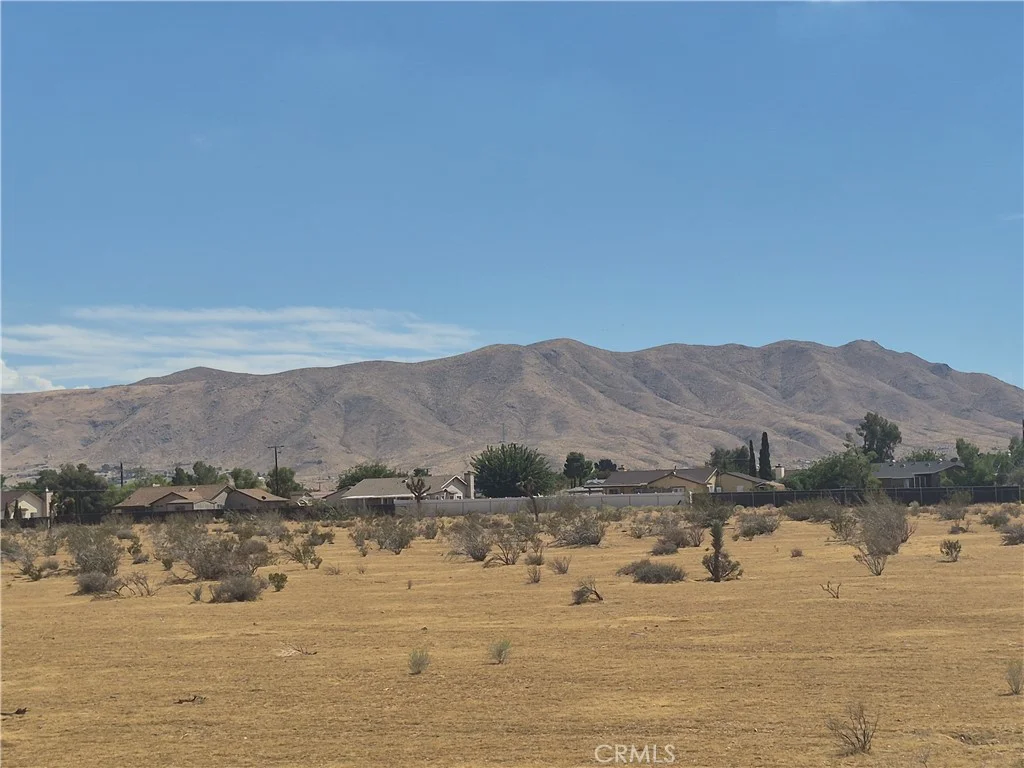 Merino, Apple Valley, CA 92308 photo 3
