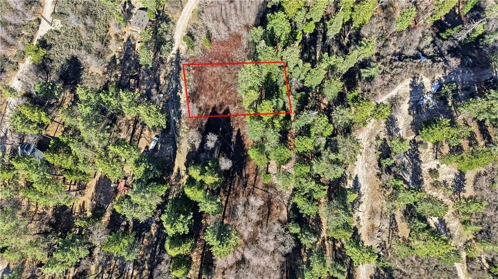 Little Bear Creek Road, Cedar Glen, CA 92321