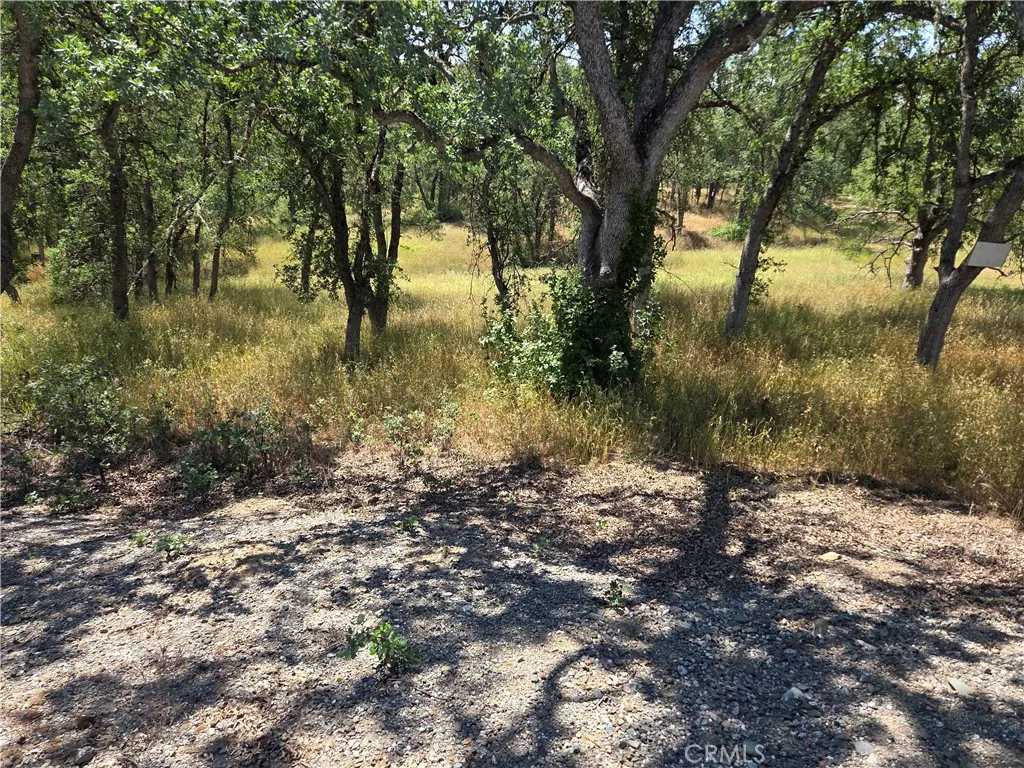Additional image 12 of 17087 Laramie Pt, Corning, CA 96021