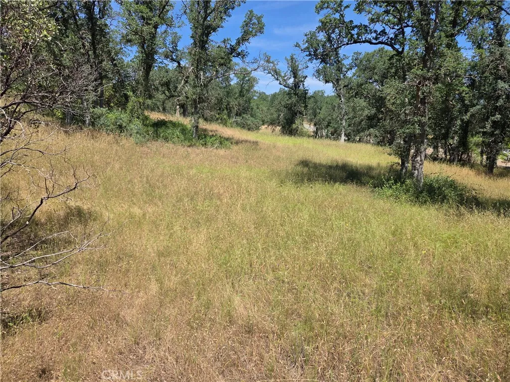 Additional image 5 of 17087 Laramie Pt, Corning, CA 96021