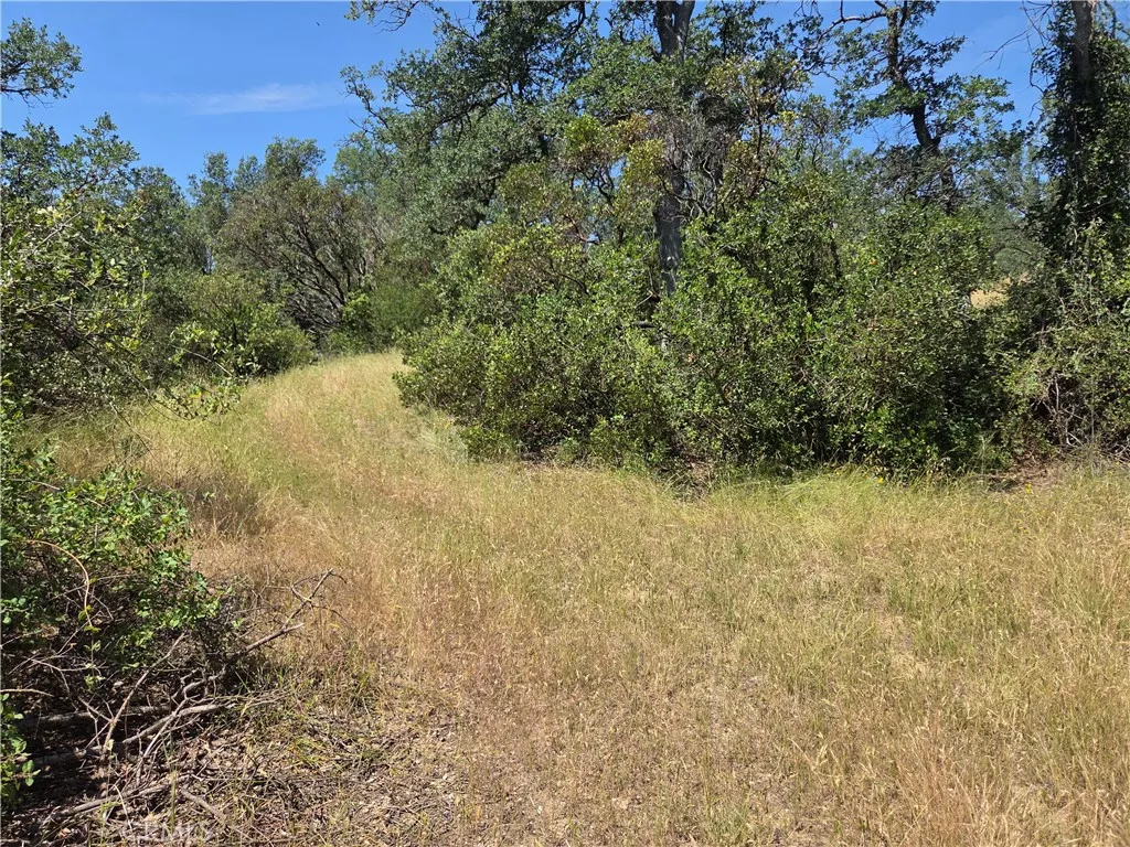 Additional image 15 of 17087 Laramie Pt, Corning, CA 96021