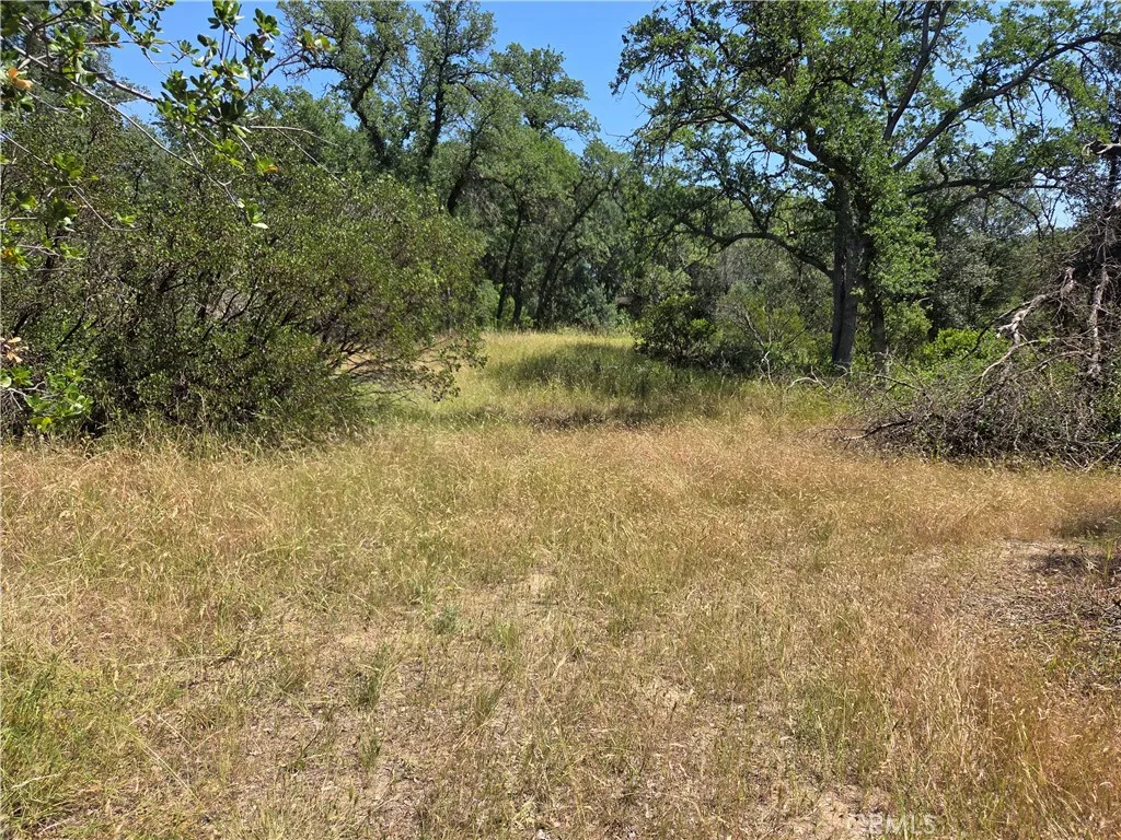 Additional image 16 of 17087 Laramie Pt, Corning, CA 96021