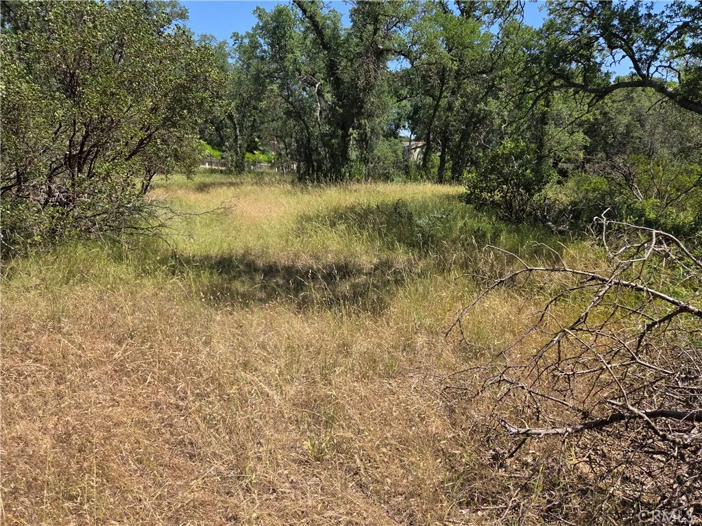 Additional image 13 of 17087 Laramie Pt, Corning, CA 96021