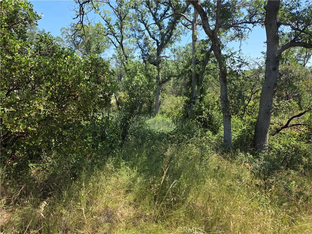 Additional image 18 of 17087 Laramie Pt, Corning, CA 96021