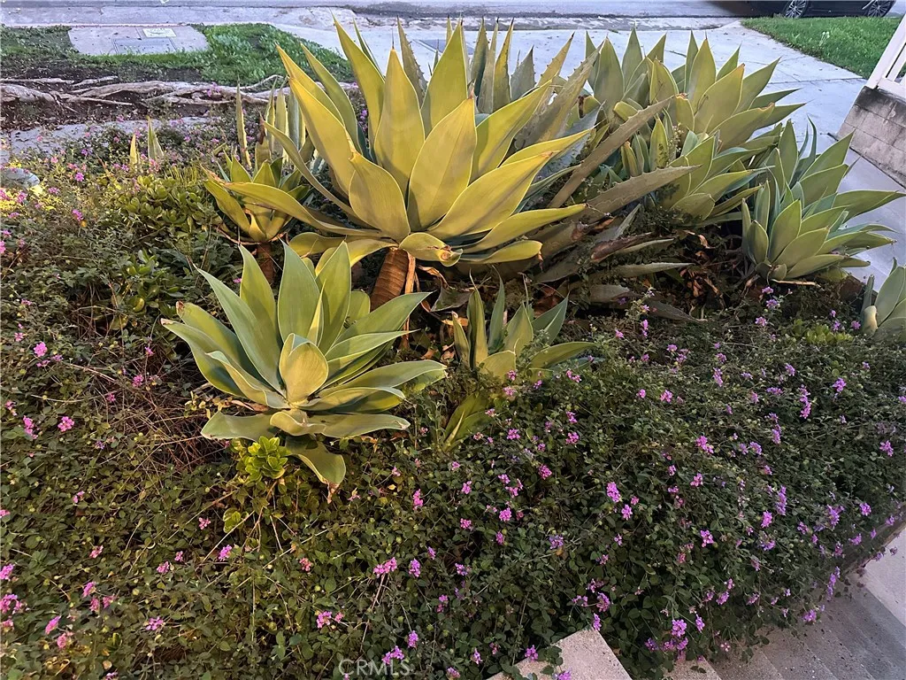 Additional image 49 of 1433 S Beverly Drive, Los Angeles, CA 90035
