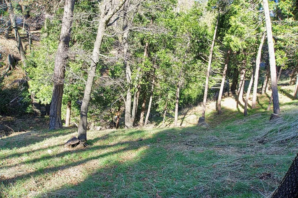 Additional image 5 of 24757 Basel Drive, Crestline, CA 92325