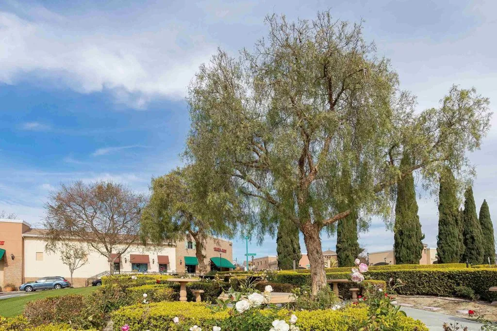 Additional image 57 of 6042 Colt Place Unit 303, Carlsbad, CA 92009