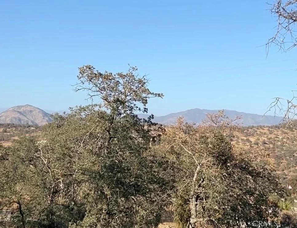 Wolverine Ln, Squaw Valley, CA 93675