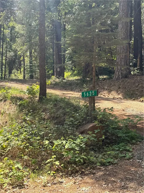 5625 Headwaters Road, Forest Ranch, CA MLS: MC25104330