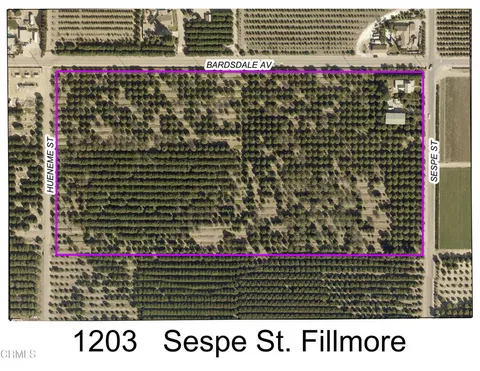 1203 S Sespe Street, Fillmore, CA 93015 - MLS#: V1-22974